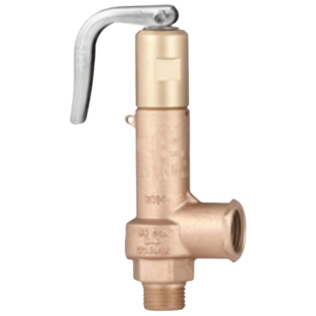 Jual Safety Valve VYC Aceh,Jual Safety Valve VYC Medan,Jual Safety Valve VYC Palembang,Jual Safety Valve VYC Padang,Jual Safety Valve VYC Bengkulu,Jual Safety Valve VYC Pekanbaru,Jual Safety Valve VYC Lampung,Jual Safety Valve VYC Kalimantan,Jual Safety Valve VYC Banten,Jual Safety Valve VYC Jakarta,Jual Safety Valve VYC Bandung,Jual Safety Valve VYC Semarang,Jual Safety Valve VYC Yogyakarta,Jual Safety Valve VYC Surabaya,Jual Safety Valve VYC Denpasar,Jual Safety Valve VYC Sulawesi